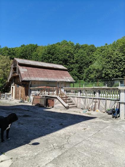 Casă cu 3 camere cu Teren 1600 Mp în Bascov