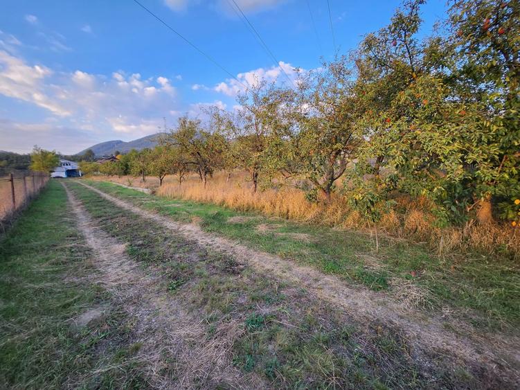 Teren Construcții intravilan de 8200 mp, în Alexandru cel Bun