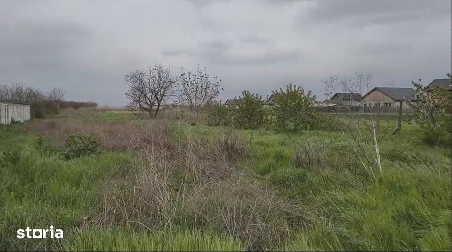 Teren de 3000 mp, în Cazasu