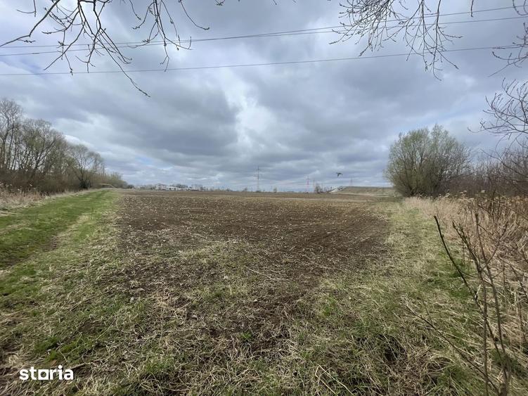 TEREN INTRAVILAN | 50 ARI | ZONA PERIFERICA RADAUTI - 1