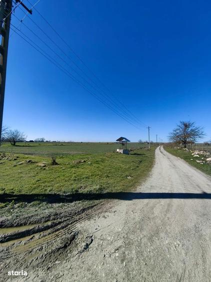 Teren de 7016 mp, în Tortoman