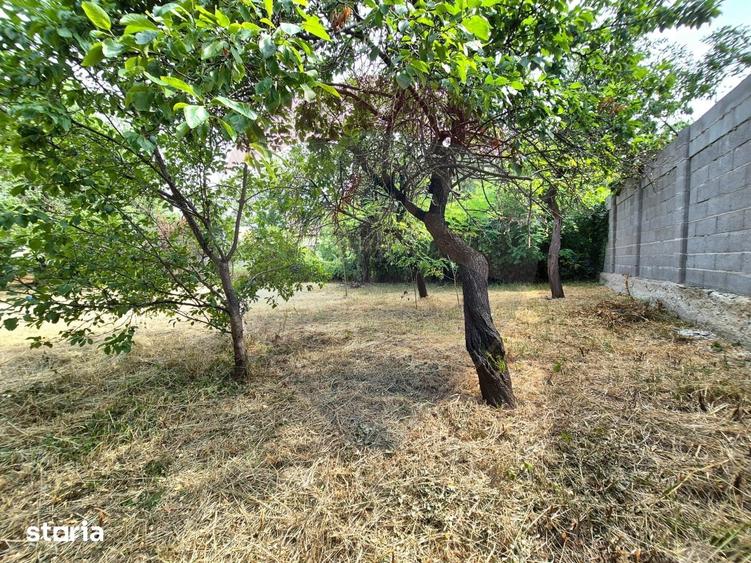 Casă cu 3 camere cu Teren 1100 Mp în Pârneava