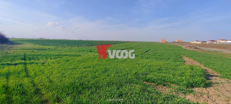 Teren Construcții extravilan de 10000 mp, în Săcălaz