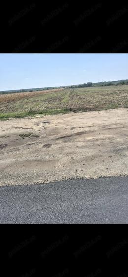 Teren de 3700 mp, în Sadina