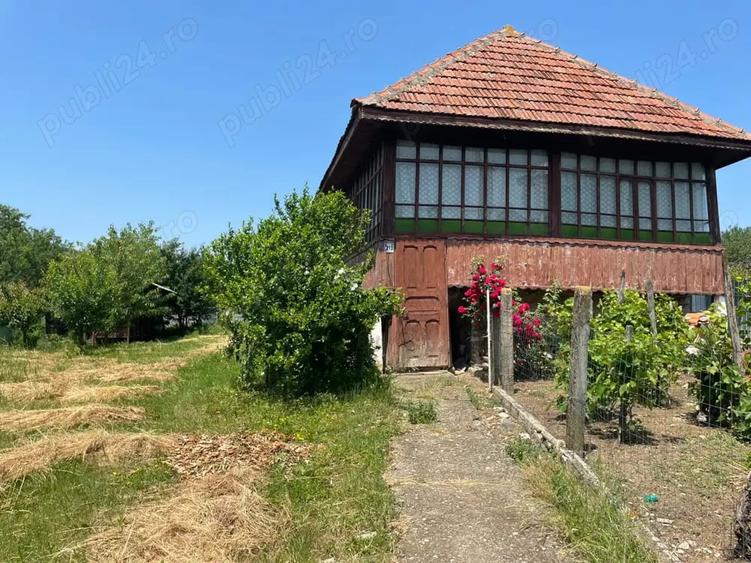 Casă cu 3 camere cu Teren 3800 Mp în Bălănești