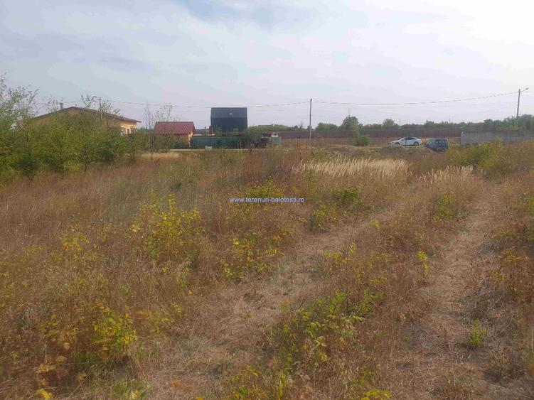 Teren Construcții intravilan de 600 mp, în Balotești