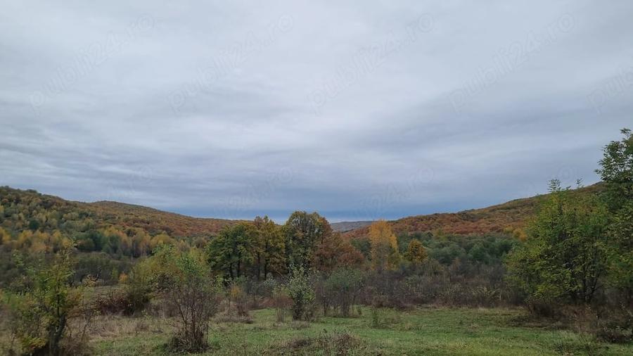 Casă cu Teren 9500 Mp în Nord