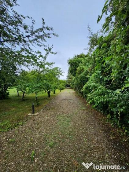 Evadare intr-un Paradis Privat: Proprietate Unica in Valenii de Munte - 5