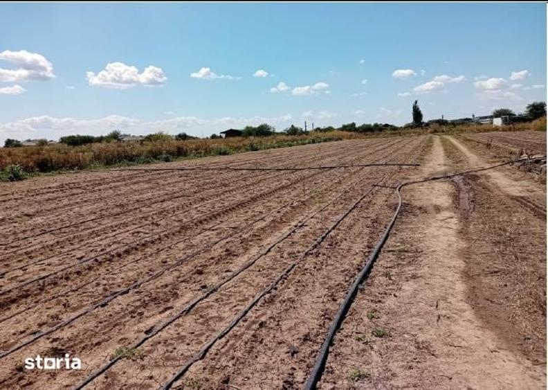 Teren extravilan Adunatii Copaceni, ID: R3345028 - 8