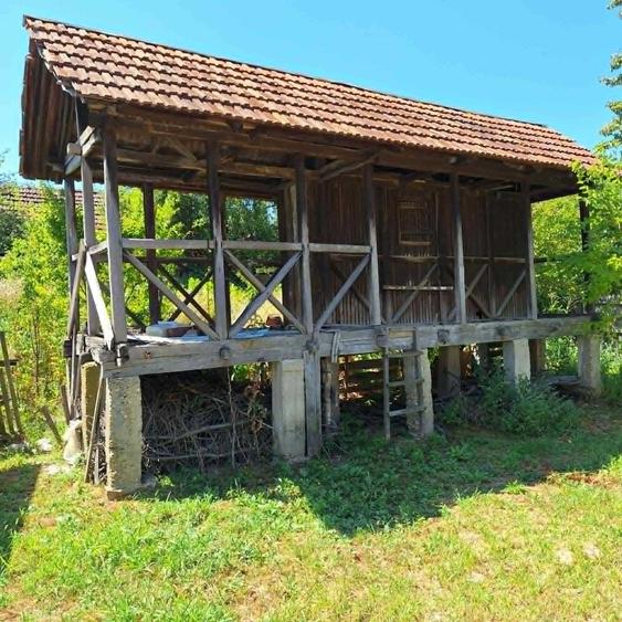 Casă cu 2 camere în Pojogeni
