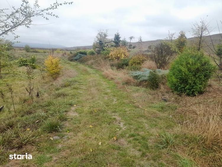 Teren de 120000 mp, în Mironeasa