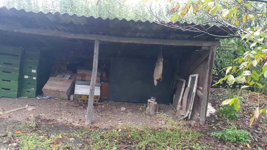 Casă individuală cu 10 camere cu Teren 1800 Mp în Vadu Moldovei
