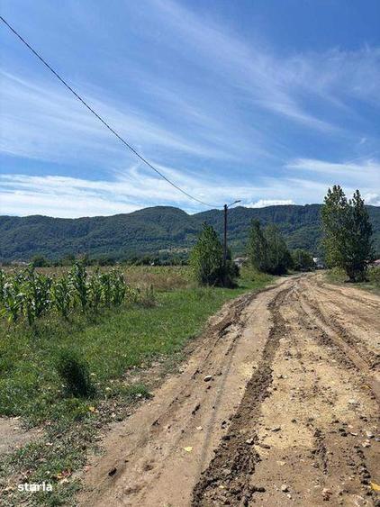 Teren de 4320 mp, în Central
