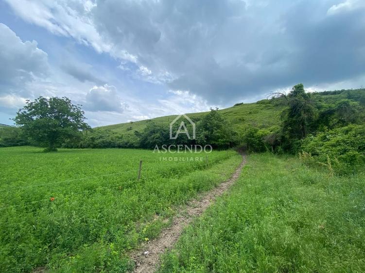 Teren Construcții intravilan de 15900 mp, în Fințești