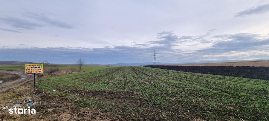Teren de 5400 mp, în Bălușeni