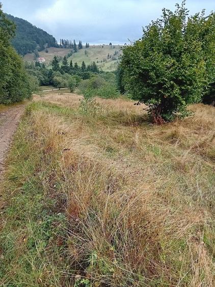 Teren de 4700 mp, în Vama Buzăului