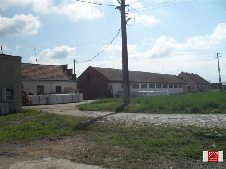 Spațiu industrial, de 7,000 mp, în Sânnicolau Mic