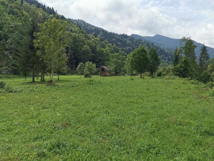 Teren de 5000 mp, în Brateș
