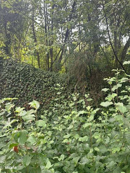 Casă cu 3 camere în Rogna