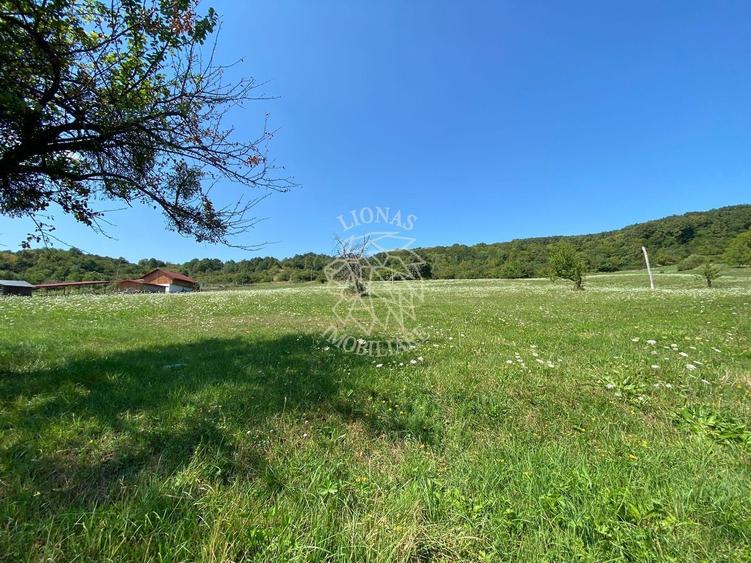 Teren agricol extravilan de 11000 mp, în Unirea