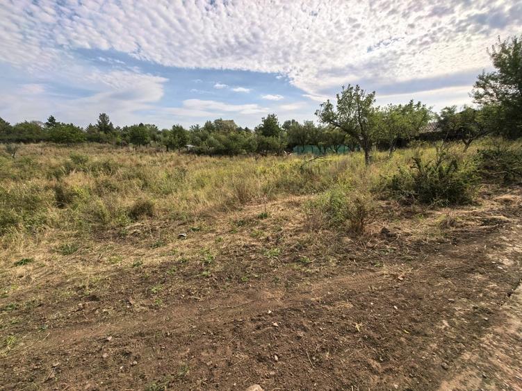 Teren Construcții intravilan de 2170 mp, în Chicerea