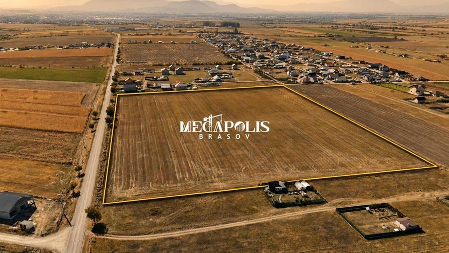 Teren agricol extravilan de 55000 mp, în Bod