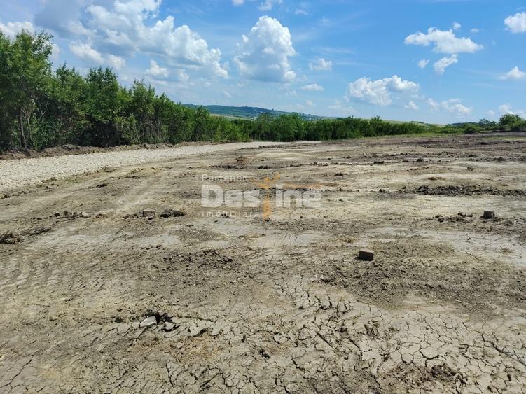 Teren Construcții intravilan de 655 mp, în Proselnici