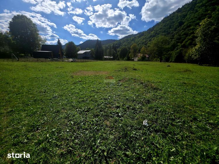 Teren de 1113 mp, în Tarcău