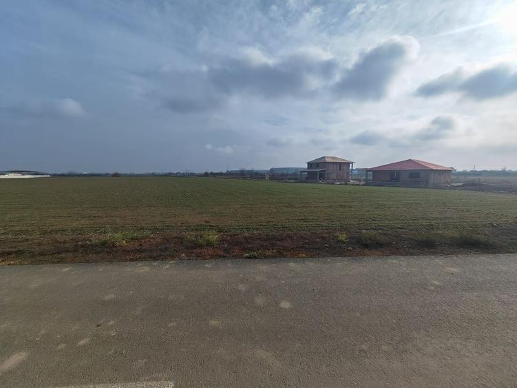 Teren Construcții intravilan de 31200 mp, în Dragomirești-Vale