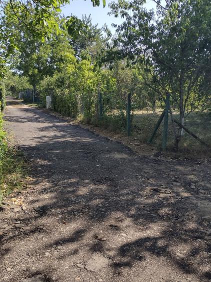 Vand teren in Bercu Rosu - 3