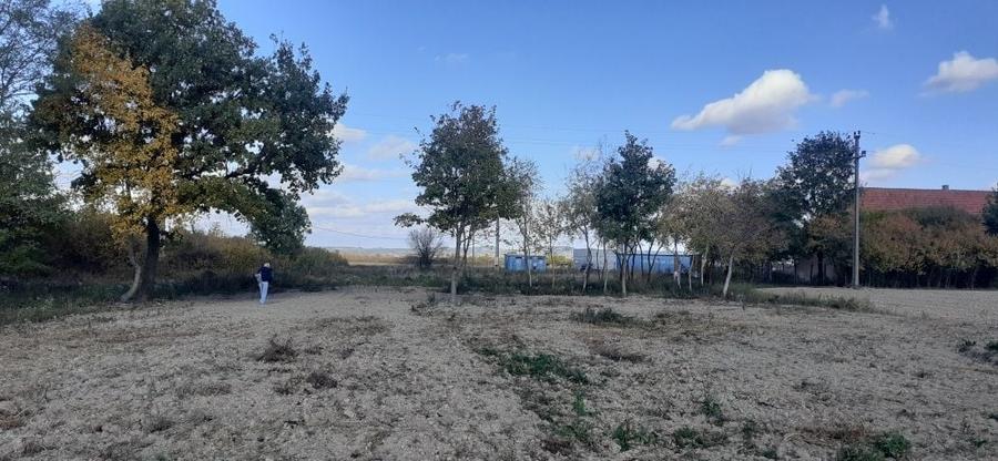 Teren de 4685 mp, în Borșa