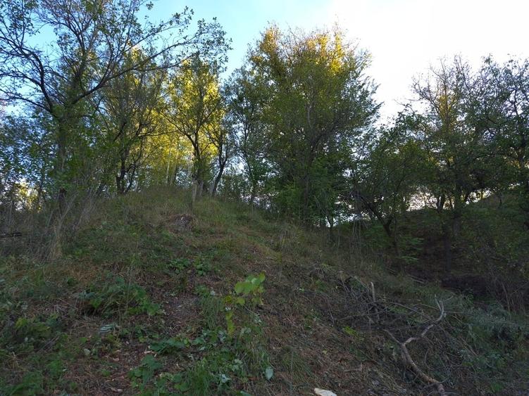 Casă cu 4 camere cu Teren 8000 Mp în Pruni