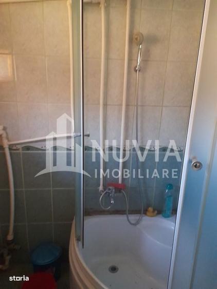 Corp de 2 case individuale, zona Intregalde, 130mp utili si 1035 mp te - 10