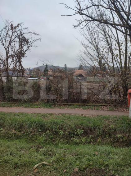 Teren intravilan, 3000 mp, zona Madaras - 6