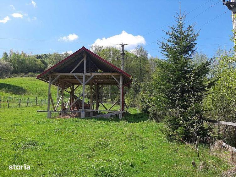 Teren de 13783 mp, în Avram Iancu