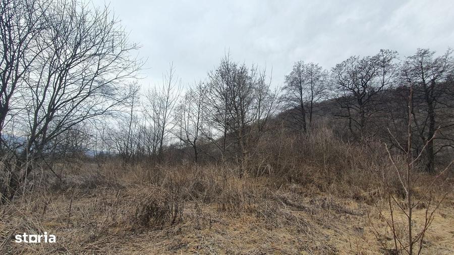 Teren de 2800 mp, în Sovata