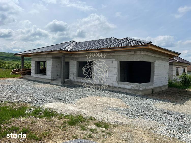 Casă cu 4 camere cu Teren 1700 Mp în Dumitrița
