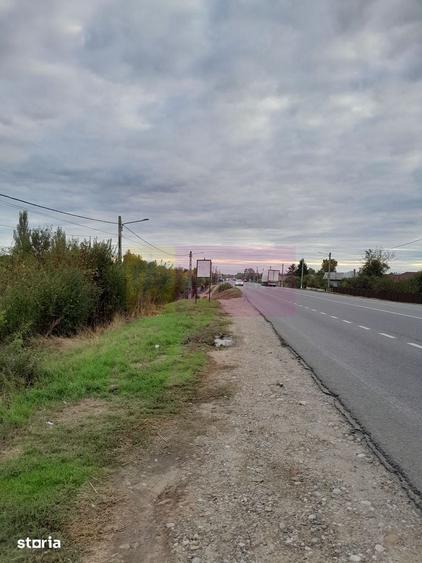 DE VANZARE TEREN 2000 MP - COSERENI( il ) - 5