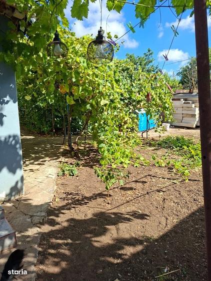 Casă cu 3 camere în Limanu