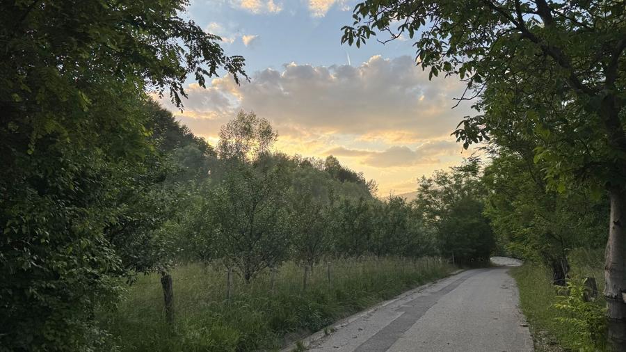 Teren Construcții intravilan de 4330 mp, în Malu cu Flori
