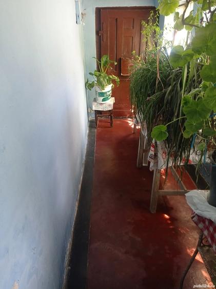 Casă cu 3 camere în Nord