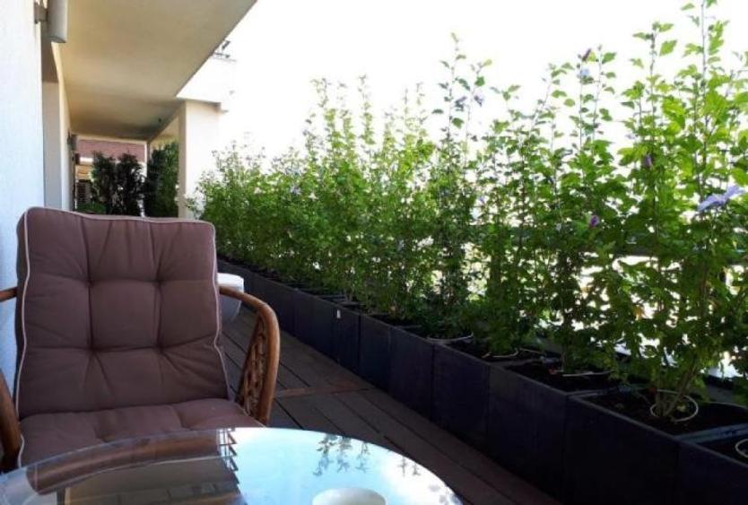 Apartament cu 3 camere, mobilat în 1 Mai