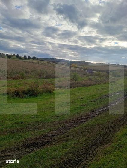 Teren de 1760 mp, în Baciu