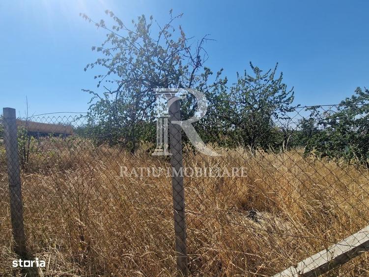 Teren Intravilan | Imprejmuit | 1000 mp | Paleu | Bihor - 4