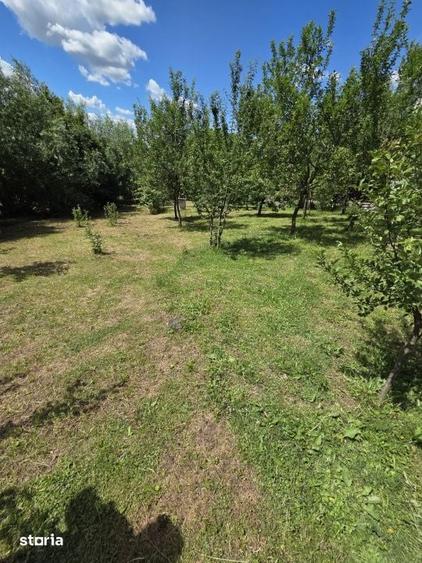 Casă cu 3 camere cu Teren 2100 Mp în Satulung