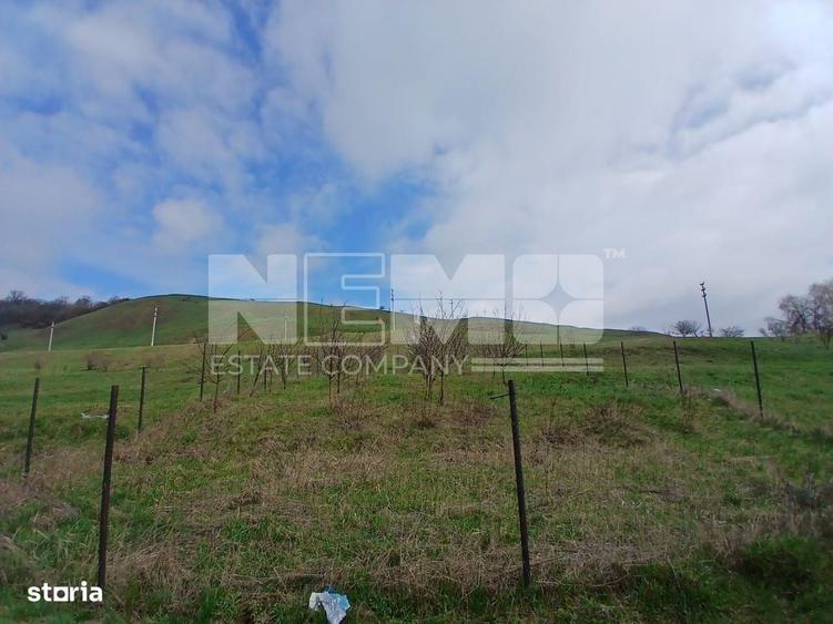 Teren De Vanzare I Suceava I 48.000 euro - 6