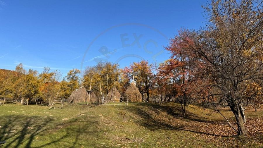 Teren Construcții intravilan de 7500 mp, în Sălătrucu