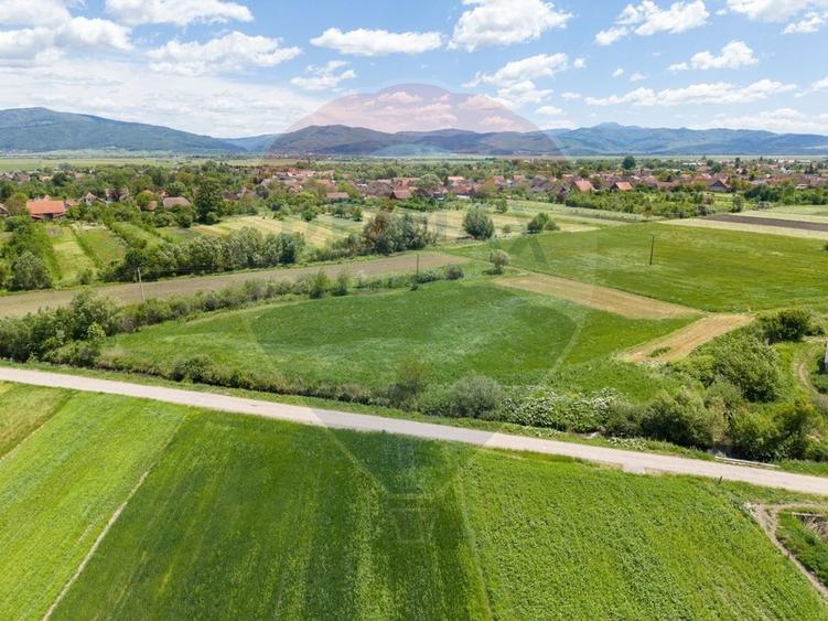 Teren agricol extravilan de 25100 mp, în Prejmer