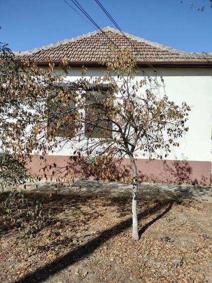 Casă cu 4 camere în Secusigiu