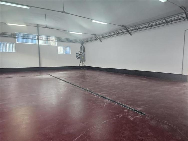 Spațiu industrial, de 1,000 mp, în 23 August (Cațelul)